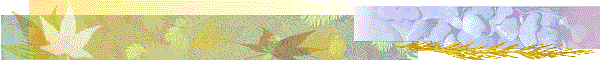 Submit Poem