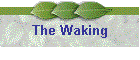 The Waking