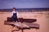 Cape Cod May 2000